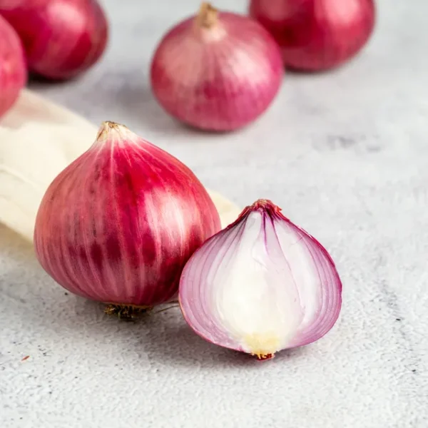 Onion - Image 2