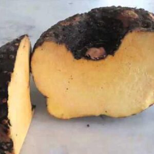Elephant yam