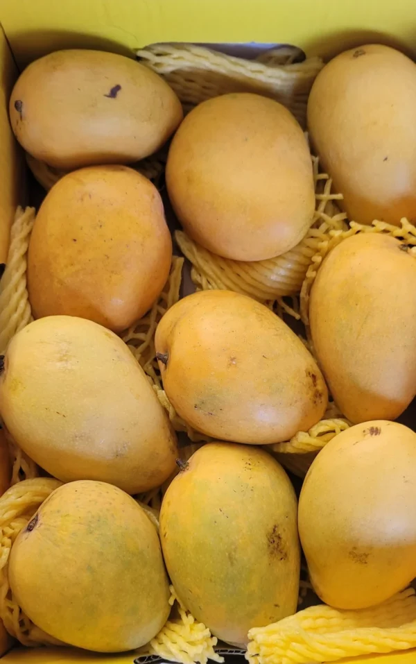 Mangos - Image 3