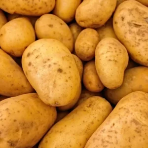 Potato