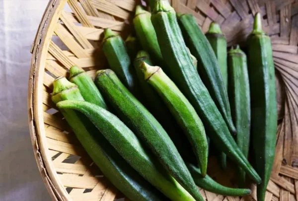 Okra - Image 2